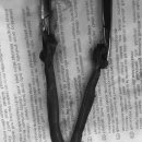 용인도담동물병원 이미지