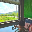 콩드립로스터스 이미지