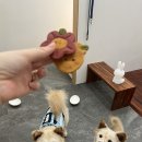 오멍가멍(OMGM) 이미지