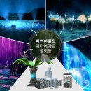 닷밀 이미지
