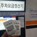 프로미자주카 이미지