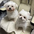 누닝 | 2025 막달 일상