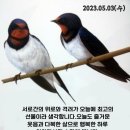 400년만에핀 길상화입니다 이미지