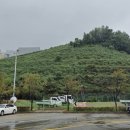 용적사 산신도 이미지