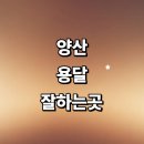 명곡동501 | 화물용달 추천 잘하는곳 전문업체 용달이사 견적 다마스 침대 라보용달 운송 가격 소형 렌트 후기 대여