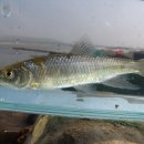 복하천 2 이미지