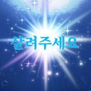 한국지식재산상업화협회 | 상표정보검색사 전문가(TIS PRO) 자격증 후기