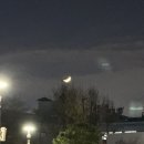 허브앤꿈 | 11월 일상(3) - 압구정 나들이와 주토피아2