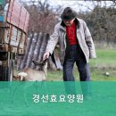 경선효요양원