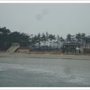 해상송림민박 Daum카페