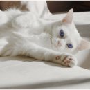 기분좋은 동물병원 이미지