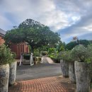 제주허브동산 | 제주 허브동산 족욕 내돈내산 후기 강추