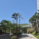 장전초등학교 후문 네이버블로그