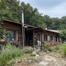 들꽃피는 이미지