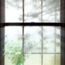 내품에햇살 이미지