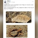 ﻿이재명 부모 산소 훼손…“저승의 부모님까지 능욕” 이미지