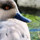 길모퉁이 이미지