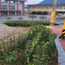 동이면행정복지센터 이미지