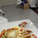 덕인축사 | 임신 38주차] 햇살이의 탄생, 부천 서울여성병원 제왕절개 후기