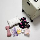 제이앤덴탈 | 2024 수원 광교 마이펫페어 후기 :: 포토덤프 + 구입목록