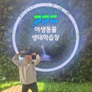 경기도 북부야생동물구조관리센터 | 경기도북부야생동물구조관리센터 세라비한옥까페 댑싸리공원 연천나들이