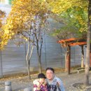 상현목장 이미지