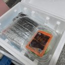 목살 주문 배송 &#34;한성정육도매점 목살&#34; 완전 강추해요!