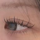 애니왁싱 | 야당속눈썹 자연스럽고 또렷했던 애니매연장 + 언더연장 후기 👀✨