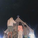[캐나다 키치너일상] 캐나다 온타리오주 주립공원 추천 파이너리 (Pinery provincial park)-1