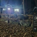 휴양림산장 | 🌲 운문산자연휴양림 문복산장 1박 2일 숙박