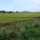 파포2리 이미지