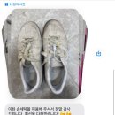 이화 손세탁 이미지