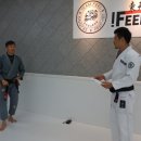 필주짓수