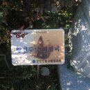 로간부인기념비 이미지