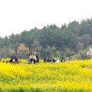 (주)장보고유통 이미지