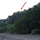 신도리-8 이미지