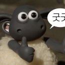 7전8기 8번식당 이미지