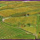 전원2단지어린이공원 이미지