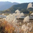 함양읍사무소 이미지