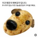 국수랑안주랑