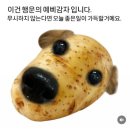 구포국수두번째이야기 | 여의도 술집 구포국수 : 안주맛집 한식 주점