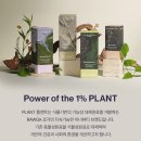 PLANT ELLE X 플랜트 식물성 콜라겐 비타민B&비오틴 1BOX 38,000원 이미지