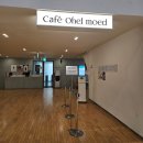 WM카페테리아 | 안산 아이랑 갈만한 곳 무료 키즈카페 추천 동산교회 오헬모에드