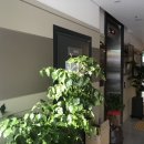 더힐러스병원 이미지