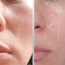 (주)세하라인 네이버블로그
