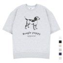 폴인퍼피 이미지