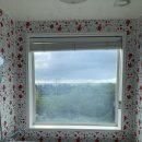 장꽁(카멜리아) 이미지