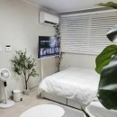 문 스테이 이미지