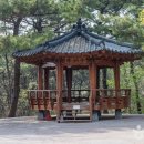 부산청과 - 남구 대공원로99번길 27 | 부산청과