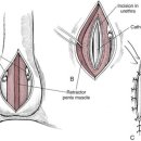 천안모아동물병원 이미지
